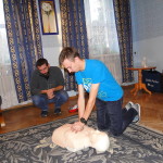 Warsztaty „Pierwsza Pomoc Przedmedyczna”